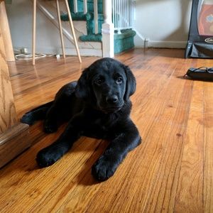 Meet your Posher, Cynthia